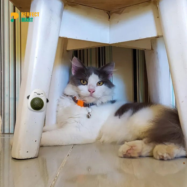 360° Rotatable Cartoon Shape Natural Catnip Balls for Pet Cat