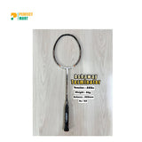 Ashaway Terminator Professional Badminton Racket