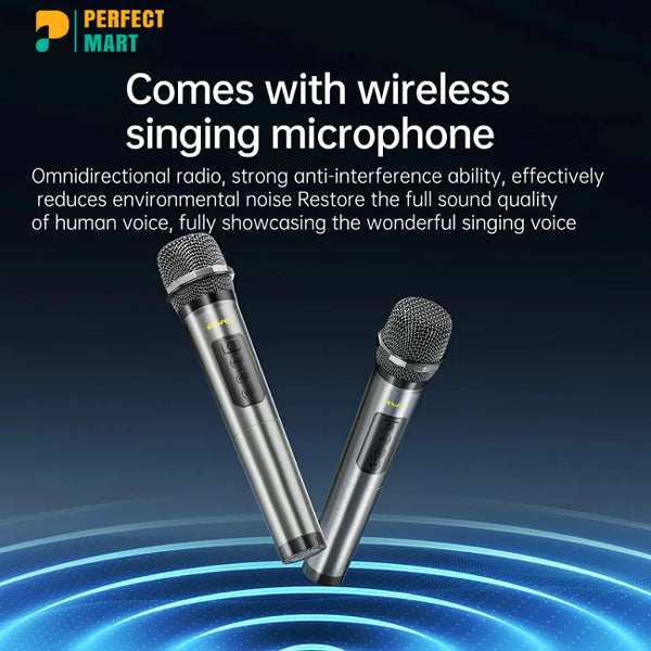 AWEI KT28 30W Wireless Karaoke Bluetooth Speaker