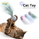 Cat Toy Feather Ball