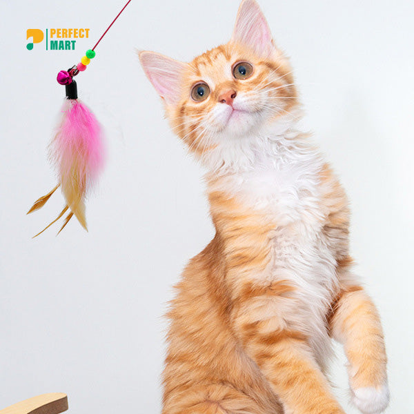 Cat Toy Feather String Cat Teaser Toy