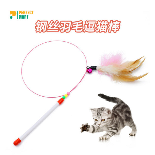 Cat Toy Feather String Cat Teaser Toy