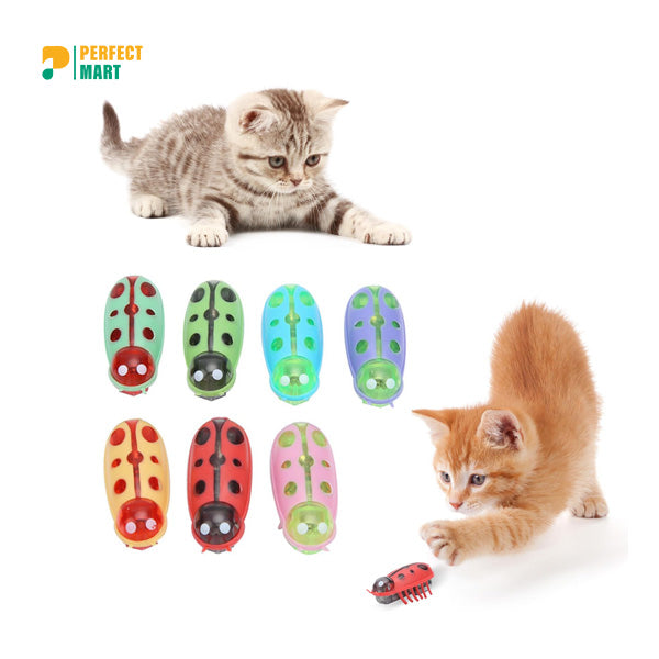 Electric Battery Operated Colorful Bugs Toy for Cat