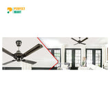 Havells Florence 48" (Black Antique Brass) H-227