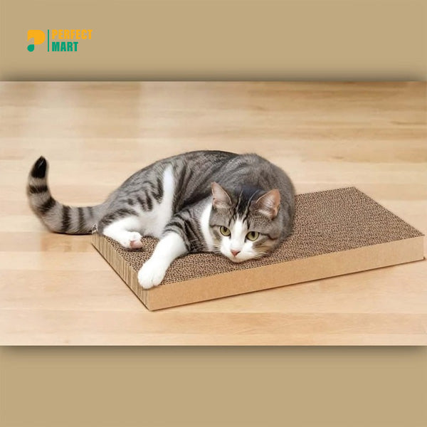 Large Size Regular Cat Scratcher Board for Scratching
