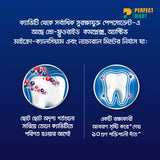 Pepsodent Toothpaste Germi Check 190Gm