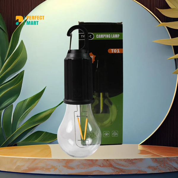 Portable LED Camping Lamp Type -C T01