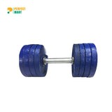 2.5kg Dumbbell Plate 2 Pcs - Blue