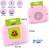 Talking Flash Cards Early Educational Toys