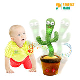 Talking and Singing Cactus Plush Toys