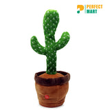 Talking and Singing Cactus Plush Toys
