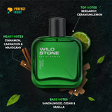 Wild Stone - Forest Spice Premium Perfume - 50ml