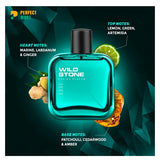 Wild Stone - Edge Premium Perfume - 50ml