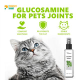 YegBong Catnip Spray/Cat Training Spray 100ml